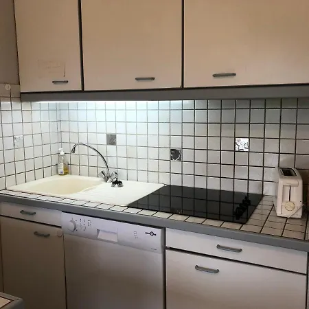 Le Clos Du Lac Studio Terrasse Jardin Et Cave Velos Fermee Rdc Appartement Annecy Buitenkant foto